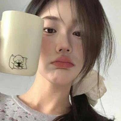 美国派9