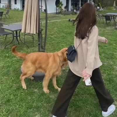 暗金烂狗5